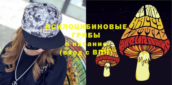 mdpv Няндома