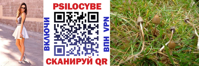 это клад  Лениногорск  Галлюциногенные грибы Psilocybine cubensis 
